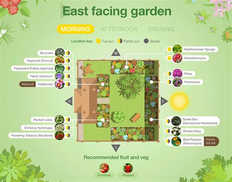East Facing Garden Plan